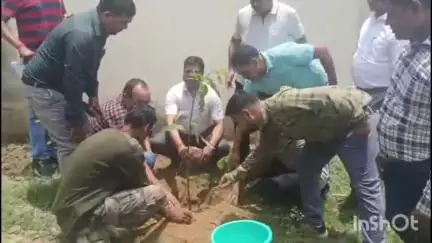 गावां: गावां ब्लॉक में विश्व पर्यावरण दिवस पर बीडीओ और सीओ ने पौधे लगाए