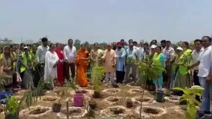 बालाघाट: विश्व पर्यावरण दिवस पर नपा ने एएचपी साईट में किया पौधारोपण, हरियाली और प्रकृति संरक्षण के प्रति बढ़ी जागरूकता