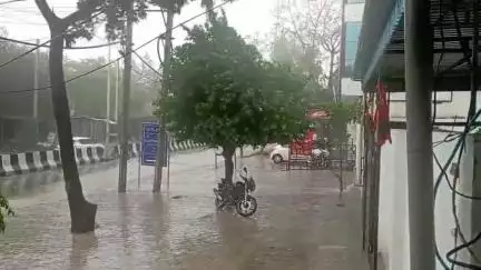 नारनौल: नारनौल क्षेत्र में गर्मी के मौसम में हो रहा सर्दी का एहसास