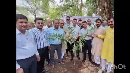 नरसिंहगढ़: राजगढ़ में पर्यावरण दिवस पर प्रशासन और जनता ने मिलकर लगाए पौधे, हरियाली का लिया संकल्प