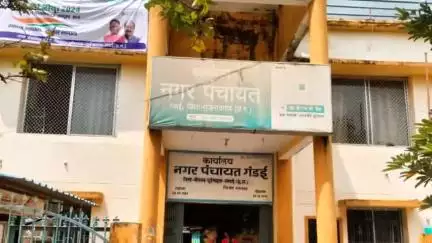 गंडई मवेशी बाजार के ठेकेदार ने अवैध रोक के कारण आर्थिक नुकसान का लगाया आरोप