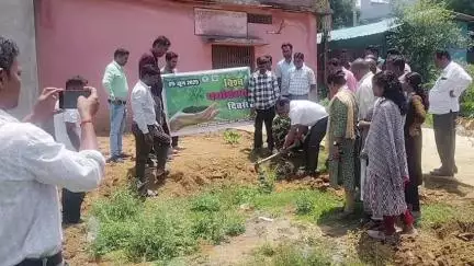 कांसाबेल: कांसाबेल में पर्यावरण दिवस पर DDC अध्यक्ष सालिक साय ने किया पौधारोपण
