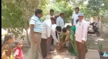 కావలి: అల్లూరులో మొక్కలు నాటిన ఎంపీడీవో రజినీకాంత్