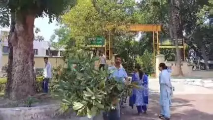 बिलासपुर सदर: पर्यावरण संरक्षण को मद्देनज़र रखते हुए वीरवार को वन विभाग के कर्मचारियों ने अपने परिसर की सफाई की
