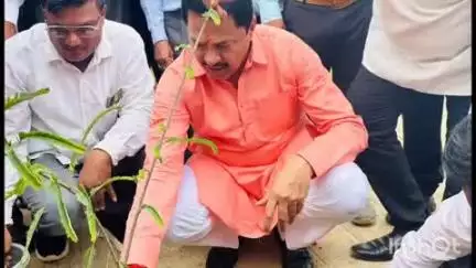 गोंदिया: जागतिक पर्यावरण दिनानिमित्त आमदार नाना पटोले यांच्या वाढदिवसानिमित्त सुकळी येथे जिल्हा परिषद शाळेत वृक्षारोपण

पर्