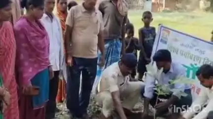 सोनो: विश्व पर्यावरण दिवस के अवसर पर सोनो में एक पेड़ मां के नाम से किया गया पौधारोपण