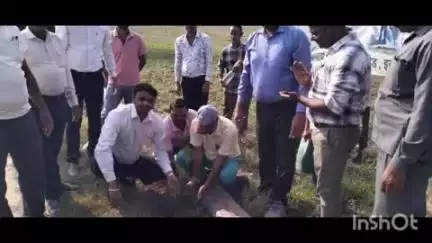 मीरगंज: विश्व पर्यावरण दिवस पर चीनी शुगर मिल परिसर में किया गया वृक्षारोपण