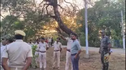 ପଦ୍ମପୁର: ଗାଇସିଲେଟ ରୋଡରେ ଥିବା ଅବକାରୀ କାର୍ଯ୍ୟାଳୟ ଜମିରେ ବିଶ୍ୱ ପରିବେଶ ଦିବସ ପାଳିତ