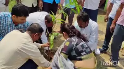 मसौढ़ी: नगर मुख्यालय के अनुमंडल परिसर में विश्व पर्यावरण दिवस पर एसडीओ द्वारा पौधा रोपण