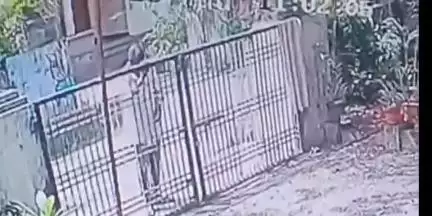 കരുനാഗപ്പള്ളി: തഴവ കുറ്റിപ്പുറത്തിന് സമീപമുള്ള വീട്ടിൽ നിന്ന് വിലപിടിപ്പുള്ള തൂക്കുവിളക്ക് മോഷ്ടിച്ചു, സി.സി.ടി.വി ദൃശ്യങ്ങൾ പുറത്ത്