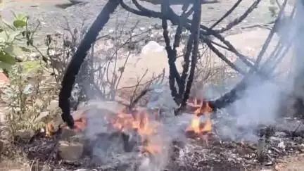 दिग्रस: जुना पेट्रोल पंपाजवळील महावितरणच्या डीपीला लागली आग; अग्निशमन दल, महावितरणच्या कर्मचाऱ्यांनी आगीवर मिळविले नियंत्रण