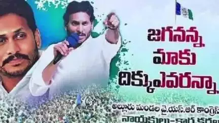 కావలి: అల్లూరులో వైసీపీ ఫ్లెక్సీల కలకలం