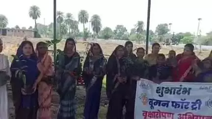 चिचोली: विश्व पर्यावरण दिवस पर चिचोली में नगर परिषद अध्यक्ष सहित महिलाओं ने किया वृहद पौधारोपण