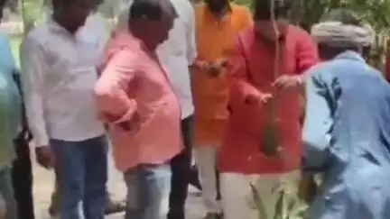 सुल्तानपुर: विश्व पर्यावरण दिवस पर कूरेभार में 5 जून को दोपहर 3 बजे युवाओं ने लगाया आम का पौधा