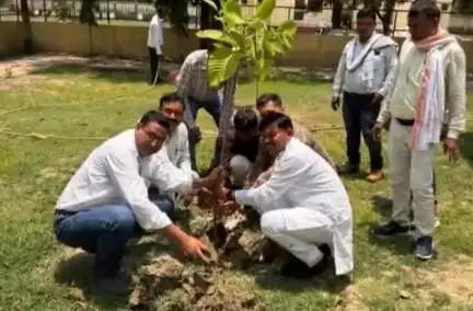 कोरांव: ब्लॉक प्रमुख मुकेश कोल ने ब्लॉक परिसर में पौधरोपण किया, नगर पंचायत अध्यक्ष ने नगर के तालाब पर संरक्षण का दिया संदेश