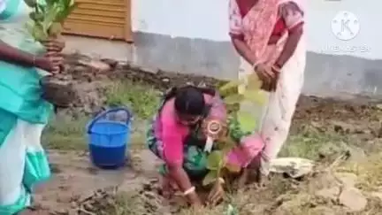 মথুরাপুর ১: মথুরাপুর সংহতি সমবায় সমিতির পক্ষ থেকে বিশ্ব পরিবেশ দিবস উপলক্ষে বৃক্ষরোপণ কর্মসূচি পালন করা হয়