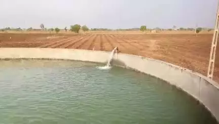 મુળી: ખેડૂતોને સિંચાઈનું પાણી નહીં મળતા જાતમહેનતે પાણીની સુવિધા કરવી પડી.#jansamasya