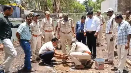 बड़ा मलेहरा: बड़ामलहरा में न्यायाधीश और अधिकारियों द्वारा वृक्षारोपण, रेंज परिसर में फलदार व छायादार पौधे लगाए गए