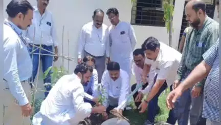 अकोला: मनपाद्वारा वृक्षारोपण मोहिमेस प्रारंभ – आमदारांच्या हस्ते चारही झोनमध्ये रोपण
