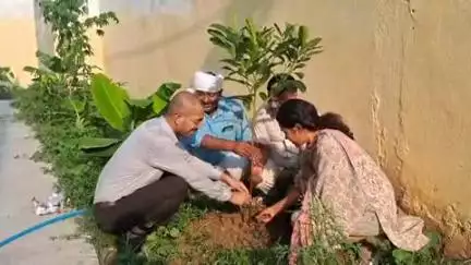 रहुई: विश्व पर्यावरण दिवस पर रहुई नगर पंचायत में हुआ पौधारोपण, हरियाली का दिया संदेश
