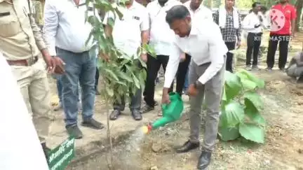 रायगढ़: विश्व पर्यावरण दिवस पर न्यायिक कर्मचारी आवासीय परिसर में महापौर एसपी कलेक्टर ने मां के नाम पर एक पेड़ लगाया