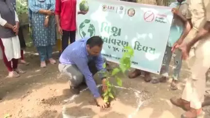 ભરૂચ: જિલ્લા સમાહર્તા ગૌરાંગ મકવાણાએ સિંદૂરના બાળવૃક્ષનું વાવેતર કરીને વિશ્વ પર્યાવરણ દિવસની ઉજવણી કરી