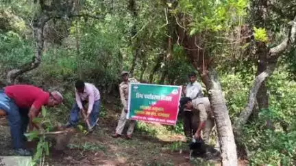 चम्पावत: सीमांत क्षेत्र तल्लादेश में मोरकोट अनुभाग के तहत वन विभाग ने ग्रामीणों के साथ मिलकर किया पौधरोपण