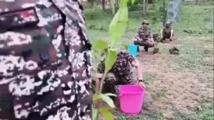 राजिम: ग्राम कुल्हाडीघाट में विश्व पर्यावरण दिवस के अवसर पर पुलिस विभाग ने किया वृक्षारोपण