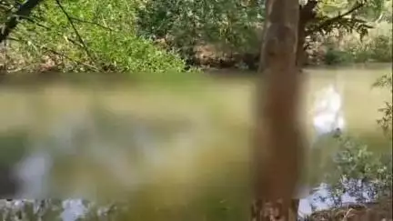 हनुमना: पिपराही जंगल में अदवा नदी में मिला अज्ञात शव, हत्या की आशंका, मौके पर पहुंची पुलिस