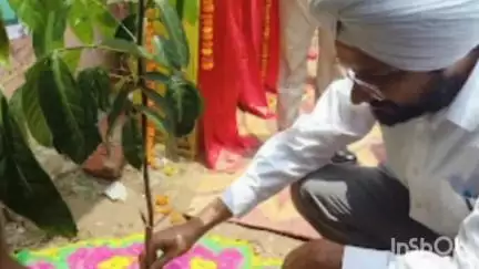 मधेपुरा: सदर प्रखंड के खौपेती गांव के वासुदेव विद्यालय में पर्यावरण दिवस पर डीएम,डीडीसी ने किया पौधारोपण