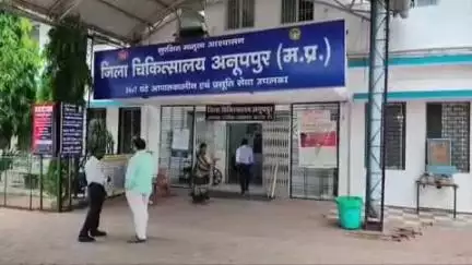 अनूपपुर: पसला के पास तेज रफ्तार वाहन ने बाइक सवार को मारी टक्कर, घायल का इलाज जारी