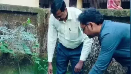 पालकोट: विश्व पर्यावरण दिवस पर पालकोट सहित ज़िले में जागरूकता अभियान और वृक्षारोपण किया गया
