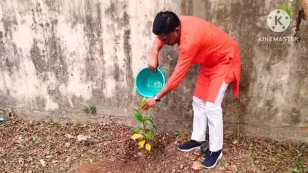 सक्ती BJP कार्यालय में विश्व पर्यावरण दिवस पर भाजपा जिलाध्यक्ष और मालखरौदा जनपद पंचायत अध्यक्ष ने लगाया बादाम का पेड़
