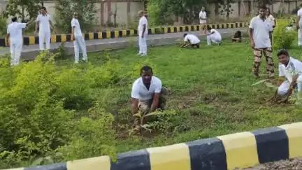 बोध गया: गया एयरपोर्ट परिसर में विश्व पर्यावरण दिवस पर हुआ पौधारोपण, एयरपोर्ट निदेशक ने दी जानकारी