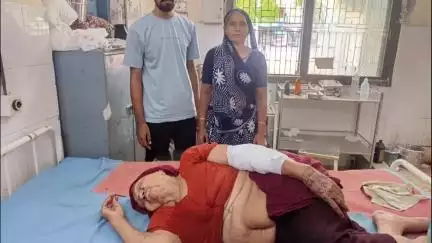 વાવ: વાવમાં તોફાની વાંદરાનો આતંક યથાવત:વધુ એક વૃધ્ધ મહિલાને ઘરમાં જઈ બચકા ભર્યા,નવીબજાર વિસ્તારના રહીશોમાં ફફડાટ