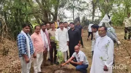 बिंदकी: भाऊपुर कुटी तथा कोटिया में पौधारोपण किया गया, विधायक जयकुमार सिंह जैकी ने कहा- विश्व पर्यावरण दिवस जिम्मेदारी याद दिलाता है
