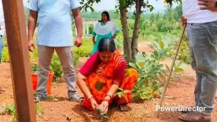 ବିଶୋଇ: ବିଶୋଇ ଠାରେ  "ବୃକ୍ଷ ରୋପଣ" କାର୍ଯ୍ୟକ୍ରମ ,ଯୋଗ ଦେଲେ ବିଡ଼ିଓ ଓ ଜିଲ୍ଲାପରିଷଦ ସଦସ୍ୟା