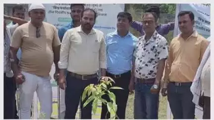 मेसकौर: प्रखंड में पर्यावरण दिवस की धूम, जगह-जगह रोपे गए पौधे, प्रकृति संवर्धन का लिया गया संकल्प