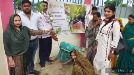 गोहद: नगर पालिका गोहद द्वारा एक पेड़ मां के नाम पौधारोपण अभियान "वूमेन फॉर ट्री" विश्व पर्यावरण दिवस अवसर पर किया आरंभ।