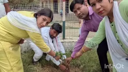 पीरो: पीरो में विभिन्न जगहों पर विश्व पर्यावरण दिवस पर पदाधिकारियों ने किया पौधारोपण