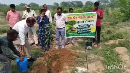 पेंड्रावन में विश्व पर्यावरण दिवस पर कलेक्टर ने उद्यानिकी रोपणी में किया पौधारोपण