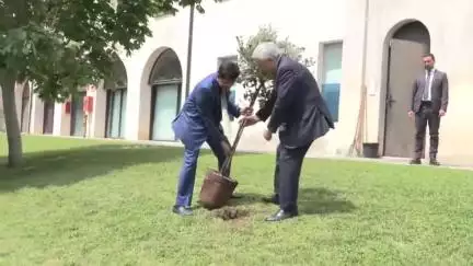 Italy embraces #EkPedMaaKeNaam!

A big thank you to H.E. Antonio Tajani for joining this cause on #WorldEnvironmentDay