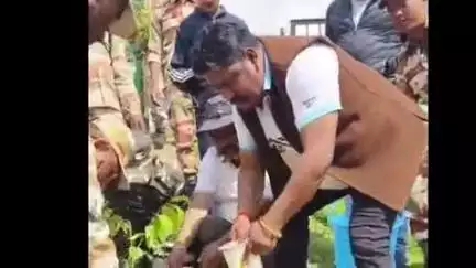 मुनस्यारी: मुनस्यारी वन क्षेत्र में विश्व पर्यावरण दिवस पर विभिन्न प्रकार के पौधों का किया गया रोपण