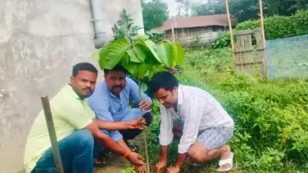 कुरसाकांटा: विश्व पर्यावरण दिवस पर कुर्साकाटा प्रखंड के पंचायतों में वृक्षारोपण हुआ, पर्यावरण संरक्षण का लिया गया संकल्प