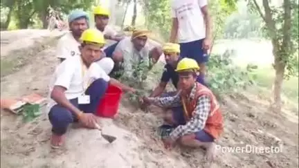 तेघरा: तेघड़ा के रातगाव में विश्व पर्यावरण दिवस पर स्वच्छता कर्मियों ने वृक्षारोपण कर चलाया सफाई अभियान