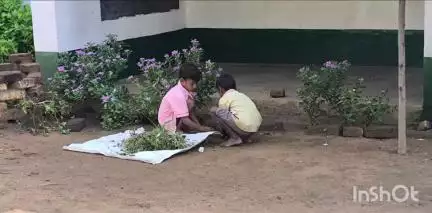 मसलिया: मसलिया प्रखंड के स्कूलों में बच्चों से झाड़ू व सफाई कार्य, शिक्षकों की लापरवाही उजागर, जांच के आदेश