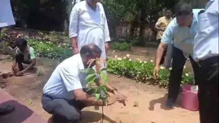 खलारी: एनके एरिया में विश्व पर्यावरण दिवस मनाया गया