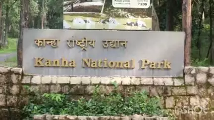 बिछिया: कान्हा नेशनल पार्क में सबसे ज्यादा शाकाहारी जानवर, Wii की रिपोर्ट में खुलासा, देश के सभी टाइगर रिजर्व में अव्वल