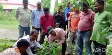 रानीश्वर: रानीश्वर के मयूराक्षी ग्रामीण महाविद्यालय में विश्व पर्यावरण दिवस पर हुआ वृक्षारोपण कार्यक्रम