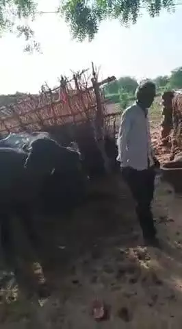 गांव ठिपुरी में घर को फोड रहे है